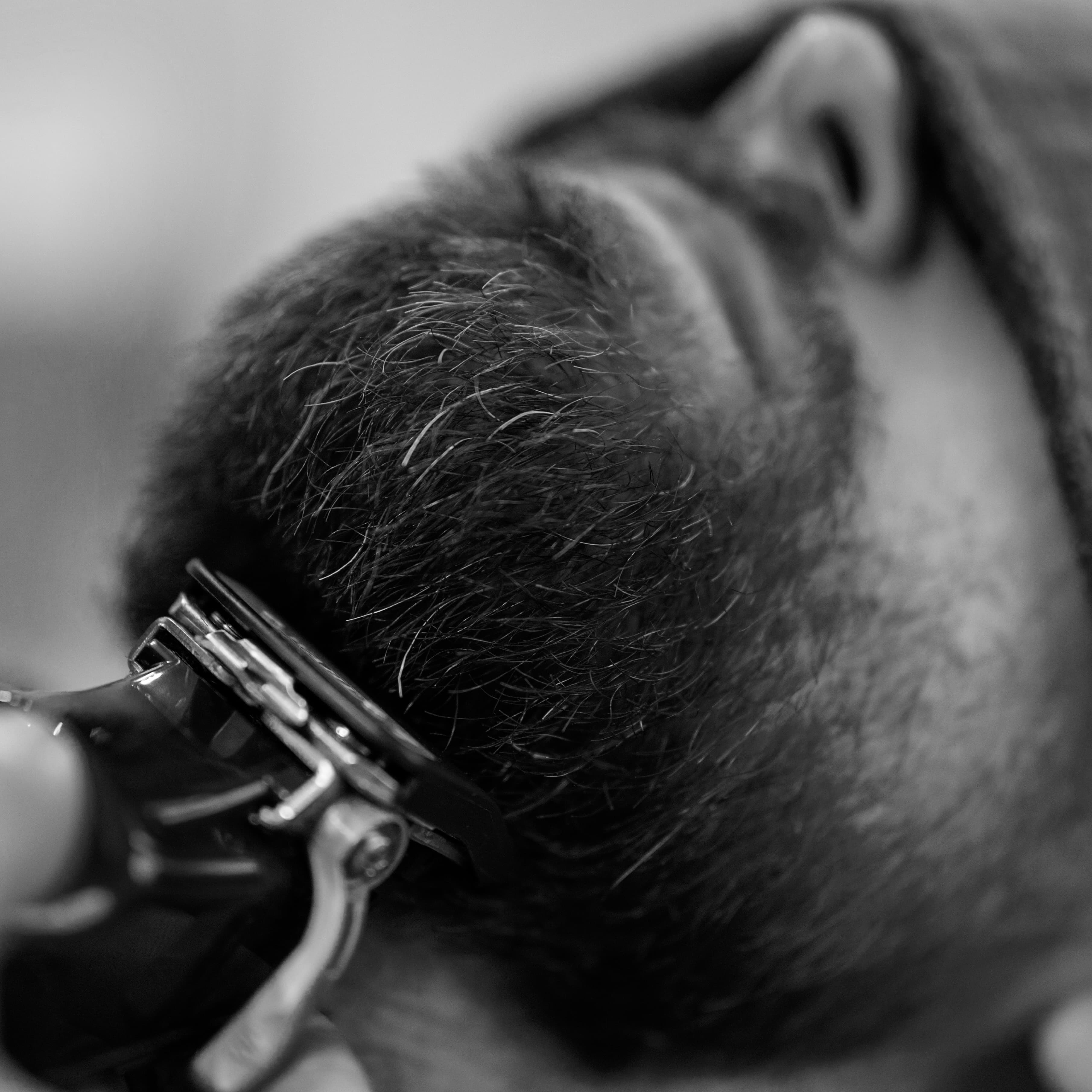 Classic Beard Trim's workspace